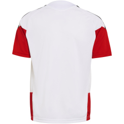 adidas DFB Deutschland Tiro Trainingstrikot 2026 Kinder...