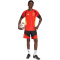 adidas RBFA Belgien Tiro Trainingsshorts 2026 Herren KB3410 - black S