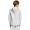 adidas Tiro Tech Sweat Hoodie Kinder KF6079 - team light grey 116