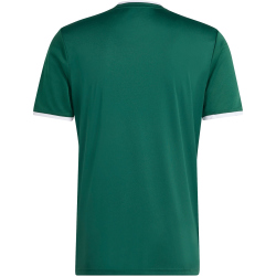 adidas Entrada 26 Graphic Trikot Herren KE7101 - team dark green/white M