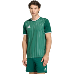 adidas Entrada 26 Graphic Trikot Herren KE7101 - team dark green/white M