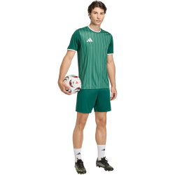 adidas Entrada 26 Graphic Trikot Herren KE7101 - team dark green/white M