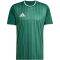 adidas Entrada 26 Graphic Trikot Herren KE7101 - team dark green/white M