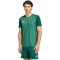 adidas Entrada 26 Graphic Trikot Herren KE7101 - team dark green/white M
