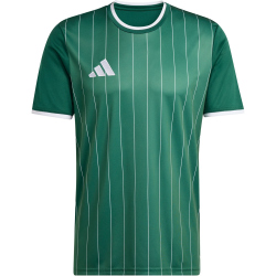 adidas Entrada 26 Graphic Trikot Herren KE7101 - team dark green/white L