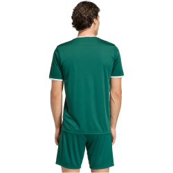 adidas Entrada 26 Graphic Trikot Herren KE7101 - team dark green/white L