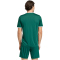 adidas Entrada 26 Graphic Trikot Herren KE7101 - team dark green/white L