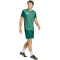 adidas Entrada 26 Graphic Trikot Herren KE7101 - team dark green/white L