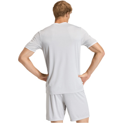 adidas Entrada 26 Graphic Trikot Herren KB3973 - team light grey/white S