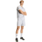 adidas Entrada 26 Graphic Trikot Herren KB3973 - team light grey/white M