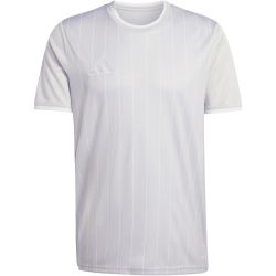 adidas Entrada 26 Graphic Trikot Herren KB3973 - team light grey/white L