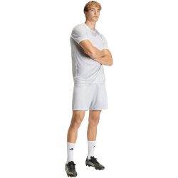 adidas Entrada 26 Graphic Trikot Herren KB3973 - team light grey/white L