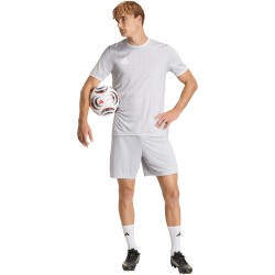adidas Entrada 26 Graphic Trikot Herren KB3973 - team light grey/white L