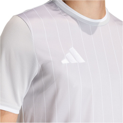adidas Entrada 26 Graphic Trikot Herren KB3973 - team light grey/white L