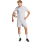 adidas Entrada 26 Graphic Trikot Herren KB3973 - team light grey/white L