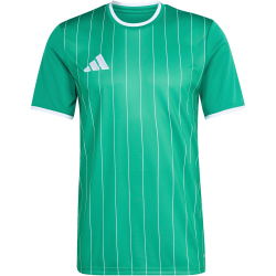 adidas Entrada 26 Graphic Trikot Herren KB3970 - team green/white XS