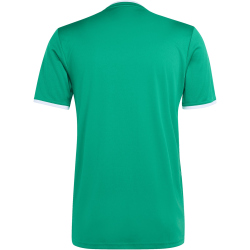 adidas Entrada 26 Graphic Trikot Herren KB3970 - team green/white XS