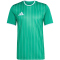adidas Entrada 26 Graphic Trikot Herren KB3970 - team green/white L