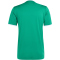 adidas Entrada 26 Graphic Trikot Herren KB3970 - team green/white L