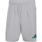 adidas FAF Algerien Tiro Tech Trainingsshorts 2026 Herren JZ6256 - team light grey XS