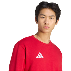 adidas Entrada 26 Sweatshirt Herren JZ6575 - team power red 2/white S