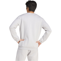 adidas Entrada 26 Sweatshirt Herren JZ6572 - team light grey/white S