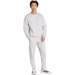 adidas Entrada 26 Sweatshirt Herren JZ6572 - team light grey/white S