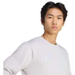 adidas Entrada 26 Sweatshirt Herren JZ6572 - team light grey/white S