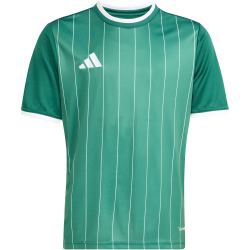 adidas Entrada 26 Graphic Trikot Kinder KE5072 - team dark green/white 104