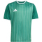 adidas Entrada 26 Graphic Trikot Kinder KE5072 - team dark green/white 140