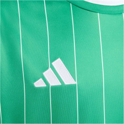adidas Entrada 26 Graphic Trikot Kinder KB3985 - team green/white 104