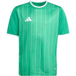 adidas Entrada 26 Graphic Trikot Kinder KB3985 - team green/white 116