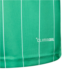 adidas Entrada 26 Graphic Trikot Kinder KB3985 - team green/white 116