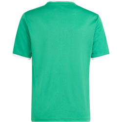 adidas Entrada 26 Graphic Trikot Kinder KB3985 - team green/white 116