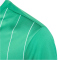 adidas Entrada 26 Graphic Trikot Kinder KB3985 - team green/white 116