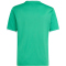 adidas Entrada 26 Graphic Trikot Kinder KB3985 - team green/white 116
