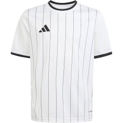 adidas Entrada 26 Graphic Trikot Kinder KB3984 - white/black 128