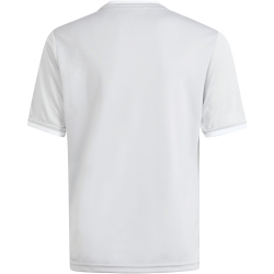 adidas Entrada 26 Graphic Trikot Kinder KB3983 - team light grey/white 116