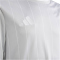 adidas Entrada 26 Graphic Trikot Kinder KB3983 - team light grey/white 116