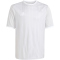 adidas Entrada 26 Graphic Trikot Kinder KB3983 - team light grey/white 128