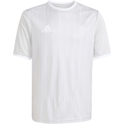 adidas Entrada 26 Graphic Trikot Kinder KB3983 - team light grey/white 140