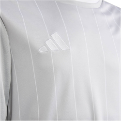 adidas Entrada 26 Graphic Trikot Kinder KB3983 - team light grey/white 140