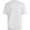 adidas Entrada 26 Graphic Trikot Kinder KB3983 - team light grey/white 140