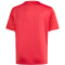 adidas Entrada 26 Graphic Trikot Kinder KB3981 - team power red 2/white 128