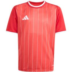 adidas Entrada 26 Graphic Trikot Kinder KB3981 - team power red 2/white 140