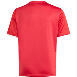 adidas Entrada 26 Graphic Trikot Kinder KB3981 - team power red 2/white 140