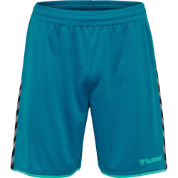 hummel Authentic Polyester Shorts Herren celestial XL