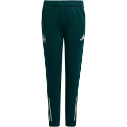 adidas FC Arsenal Trainingshose 2025/26 Kinder KB1829 - aurora ivy 164