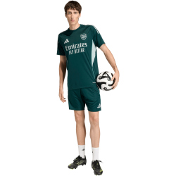 adidas FC Arsenal Competition Trainingstrikot 2025/26...