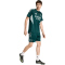 adidas FC Arsenal Competition Trainingstrikot 2025/26 Herren KB1843 - aurora ivy S